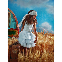 tutu-du-monde-wanderer-tutu-dress-silverlite-tutu-s22-tdm7009-2-3y- (4)