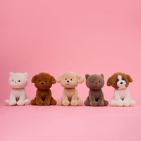 bon-bon-toys-dolly-the-ragdoll-eco-18-cm-7-white-play-toy-btt-10006001