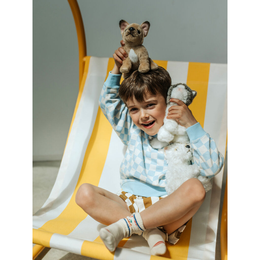 bt-chaps-amelie-the-scottisch-fold-in-giftbox-17cm-6-5-btch-32179010