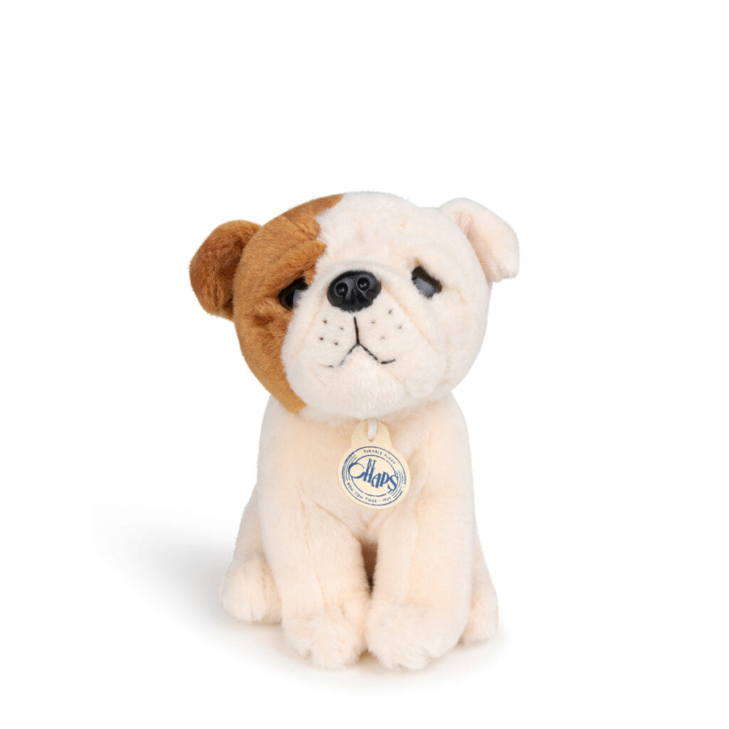 bt-chaps-bertha-the-american-bulldog-floppy-in-giftbox-17cm-6-5-btch-32177007