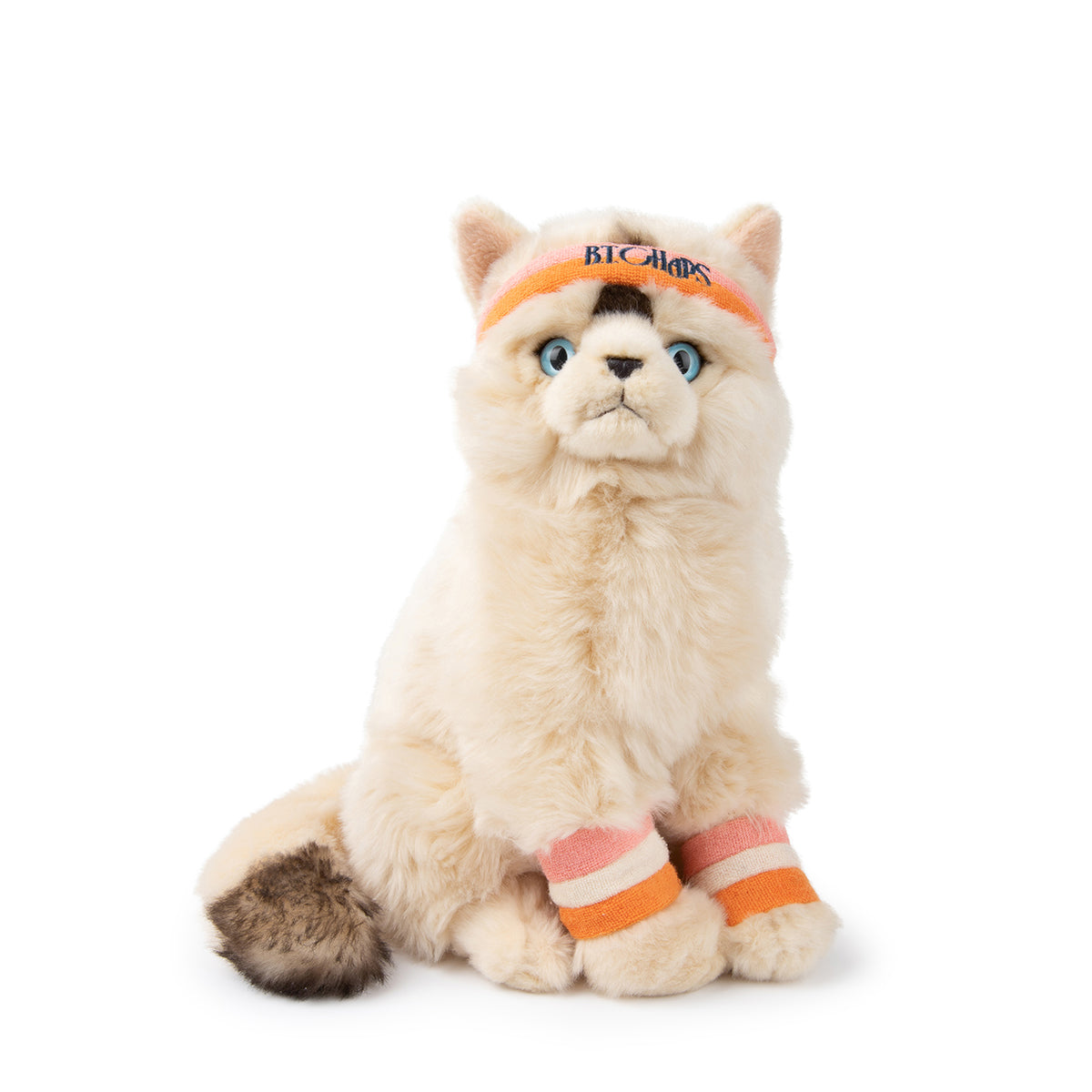 bt-chaps-dolly-the-ragdoll-32cm-12-5-btch-32179001