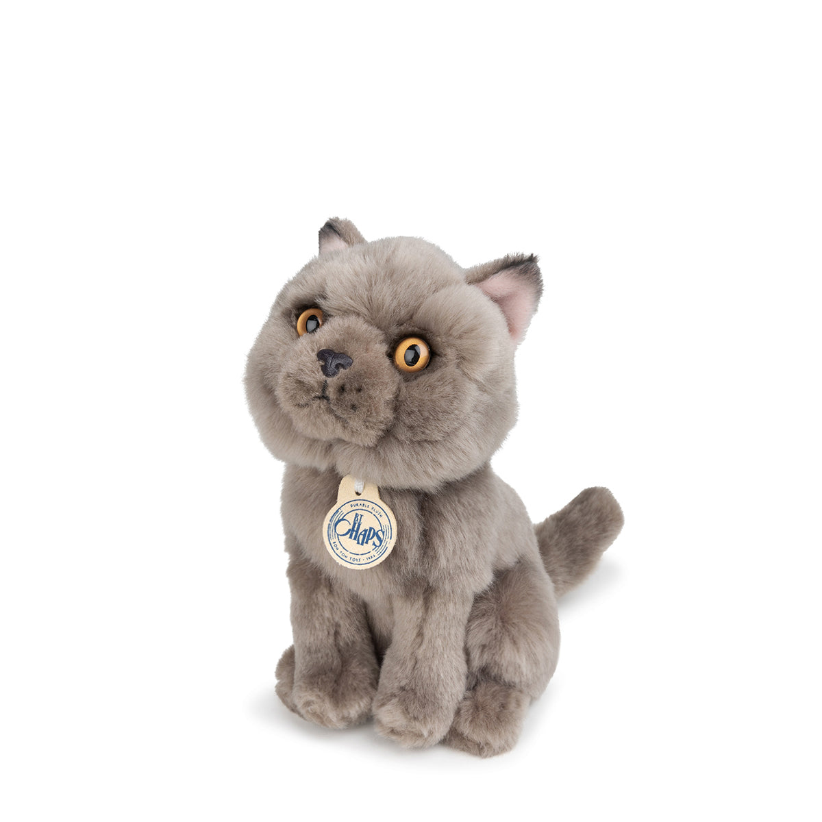bt-chaps-freddy-the-british-shorthair-floppy-in-giftbox-17cm-6-5-btch-32179007