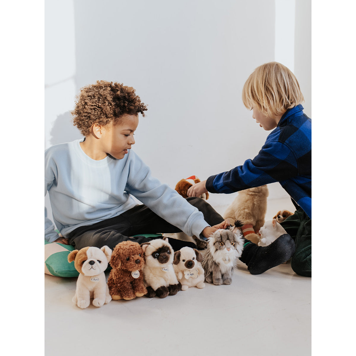 bt-chaps-nancy-the-norwegian-forest-cat-20cm-8-btch-32179002