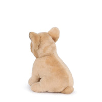 bt-chaps-philippe-the-french-bulldog-17cm-6-5-btch-32177008