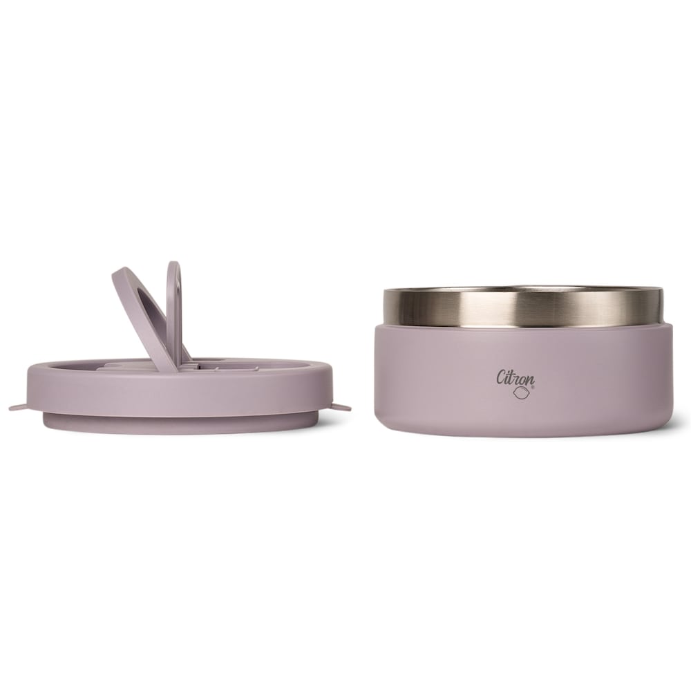 Citron Insulated Stainless Steel Food Jar 400ml - Purple