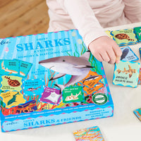 eeboo-sharks-&-friends-shiny-memory-matching-eebo-mgshk