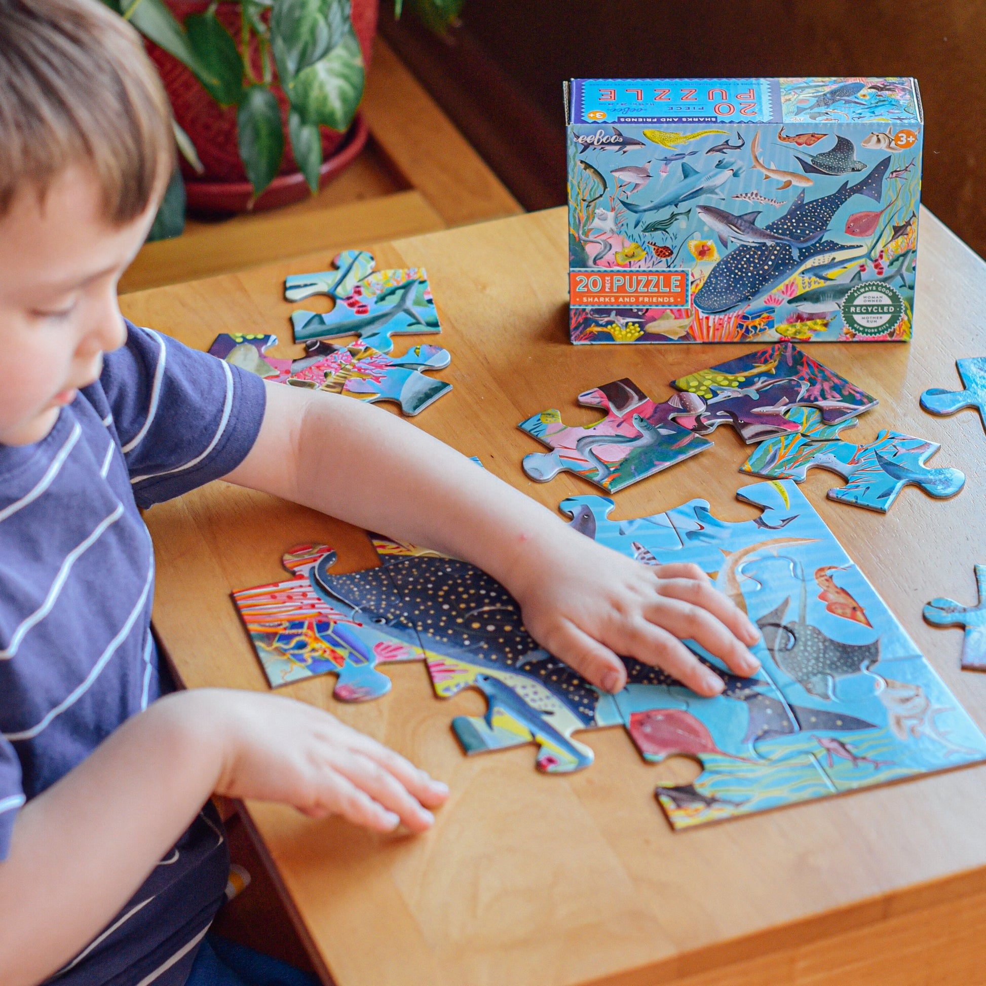 eeboo-sharks-and-friends-20pc-puzzle-eebo-pzsk20