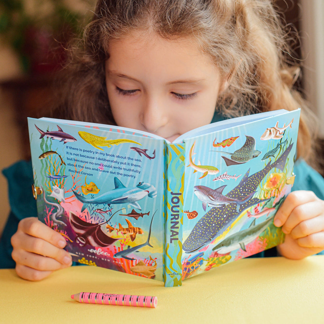 eeboo-sharks-and-friends-journal-eebo-ldshf