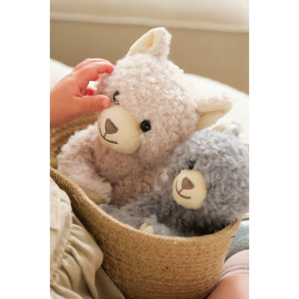 egmont-toys-duo-romy-cat-small-egmo-130602