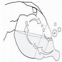 elhee-anti-colic-baby-bottle-graouu-240ml-0m-baby-nursery-elhe-3084959-07