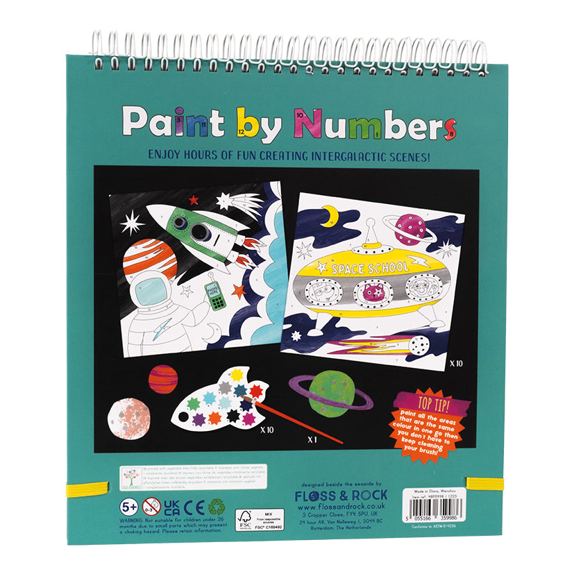 floss-_-rock-paint-by-numbers-space-flor-48p5998