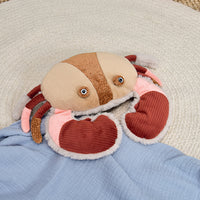 histoire-d-ours-crab-hdo-ho3262