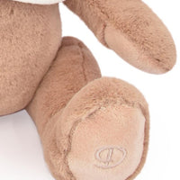 histoire-d-ours-l-ours-doudou-marron-clair-hdo-dc4162