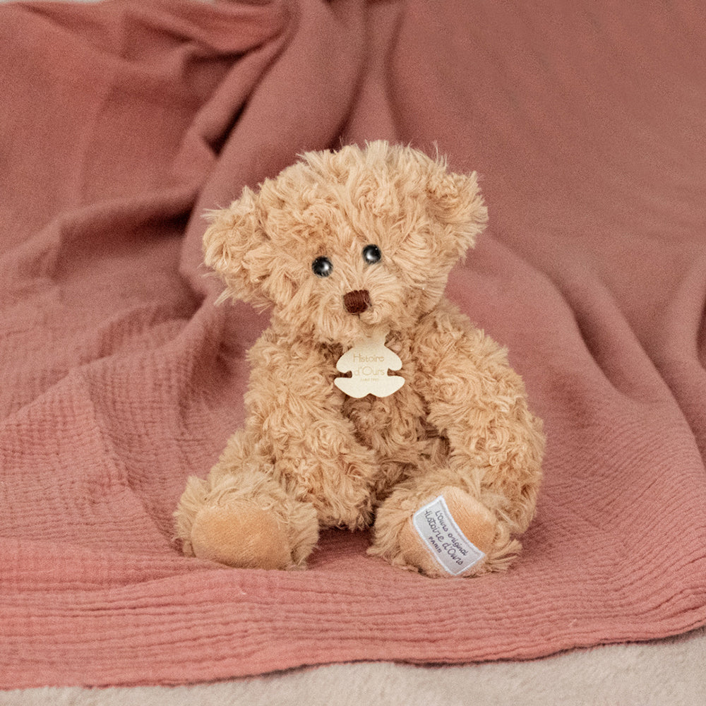 histoire-dours-bear-vintage-27cm-hdo-ho2873
