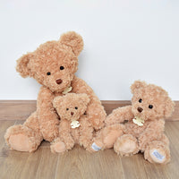 histoire-dours-bear-vintage-50cm-hdo-ho2875