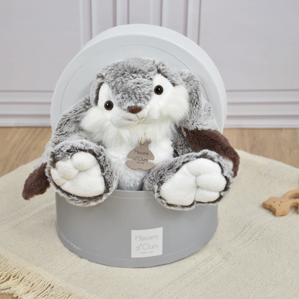 histoire-dours-lapin-marius-rabbit-hdo-ho2061