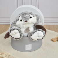 histoire-dours-lapin-marius-rabbit-hdo-ho2061