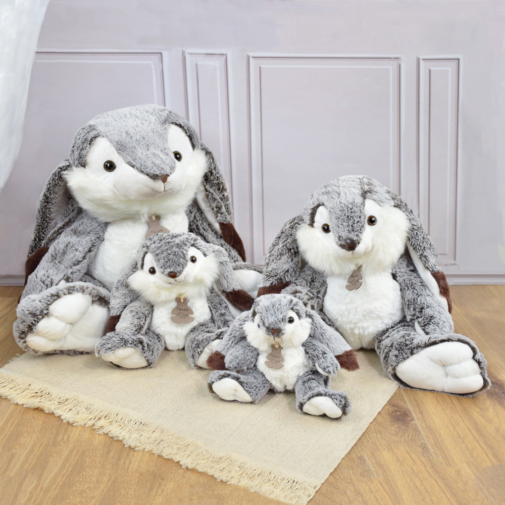 histoire-dours-lapin-marius-rabbit-hdo-ho2061