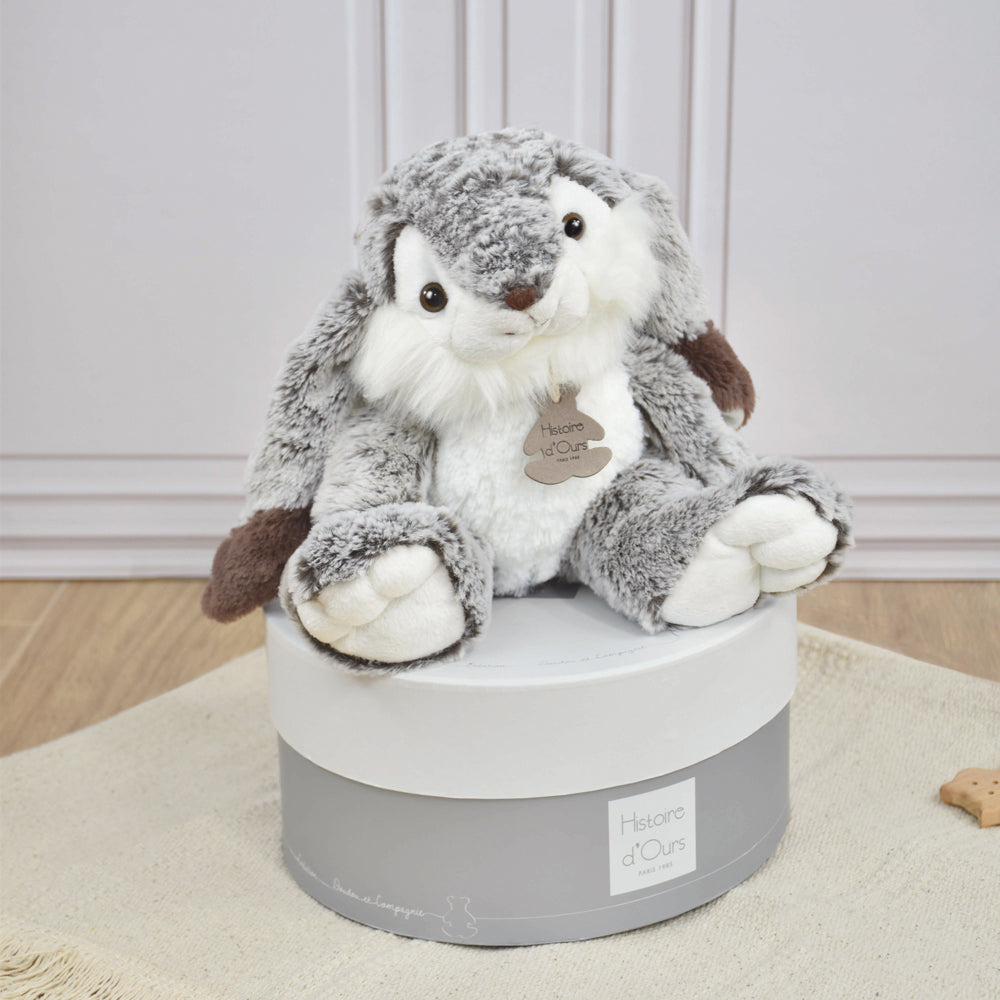 histoire-dours-lapin-marius-rabbit-hdo-ho2061