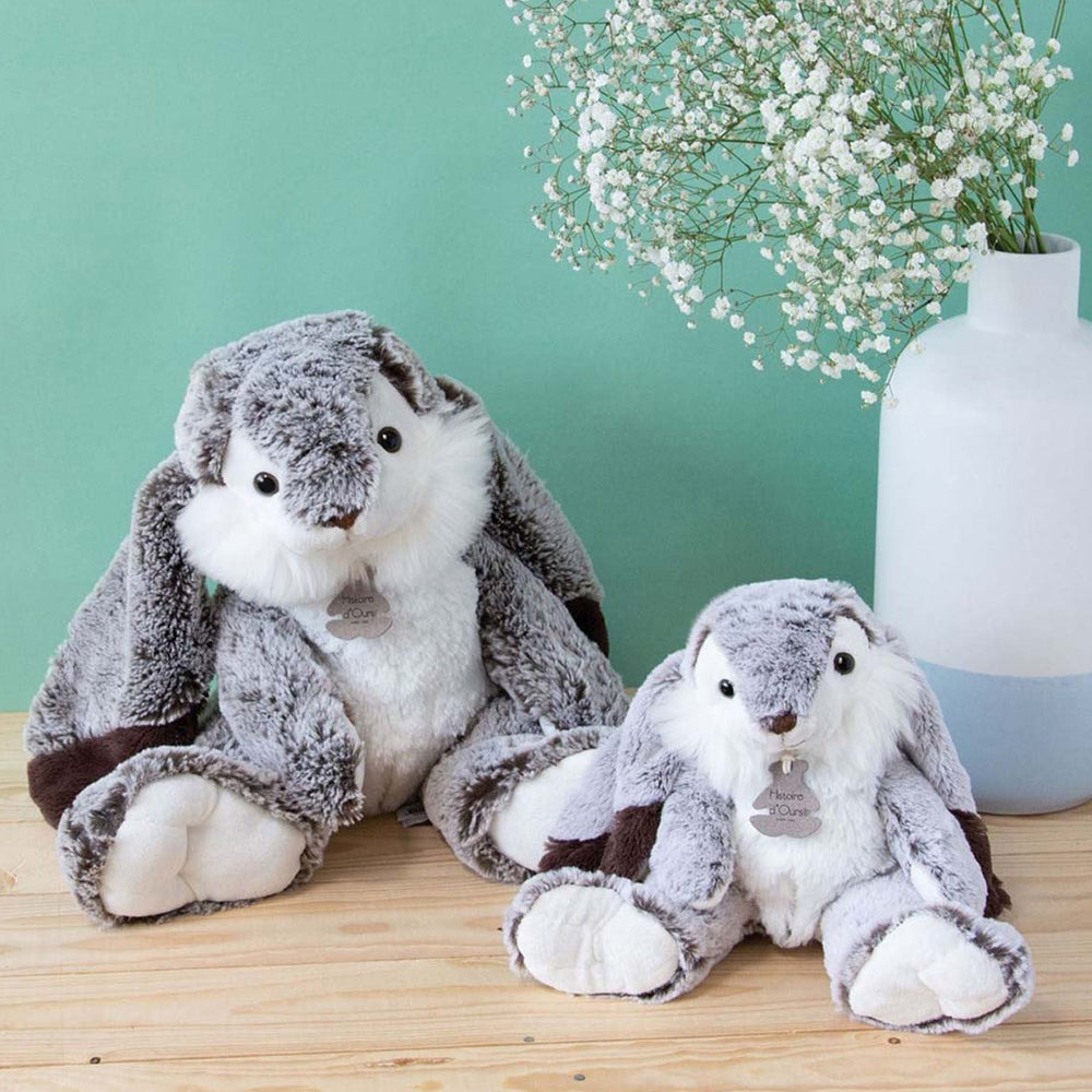 histoire-dours-lapin-marius-rabbit-hdo-ho2061