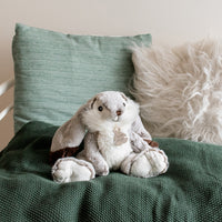 histoire-dours-lapin-marius-rabbit-hdo-ho2061