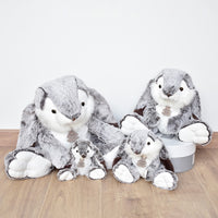 histoire-dours-lapin-marius-rabbit-hdo-ho2061