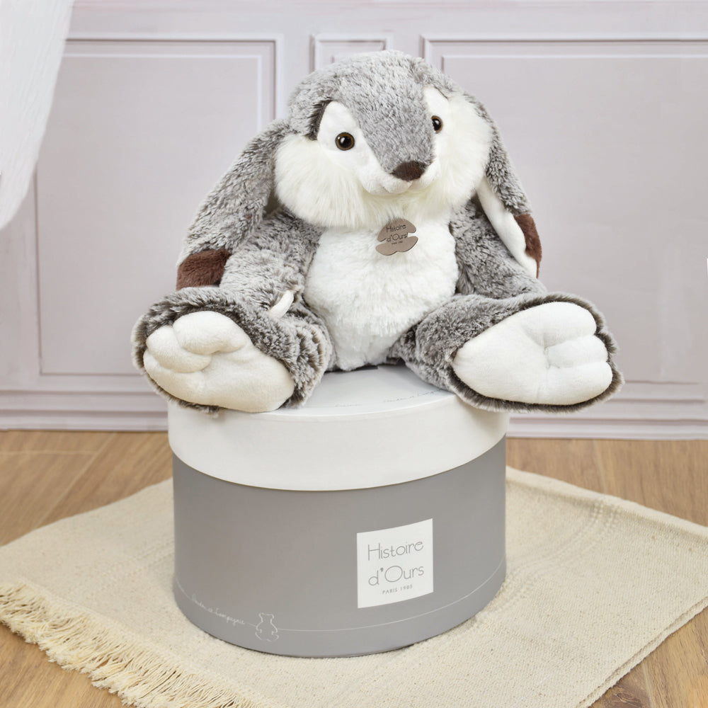 histoire-dours-lapin-marius-rabbit-hdo-ho2297