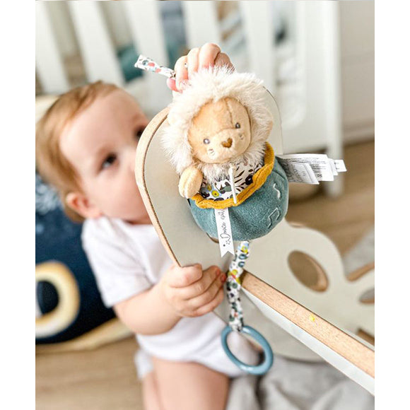 histoire-dours-lion-music-box-hdo-dc4026