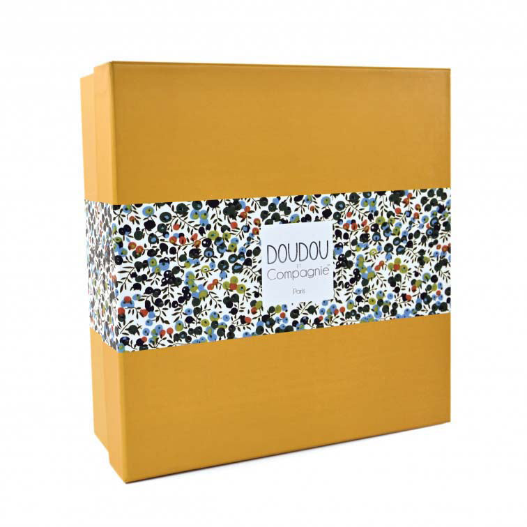 histoire-dours-lion-teether-hdo-dc4025