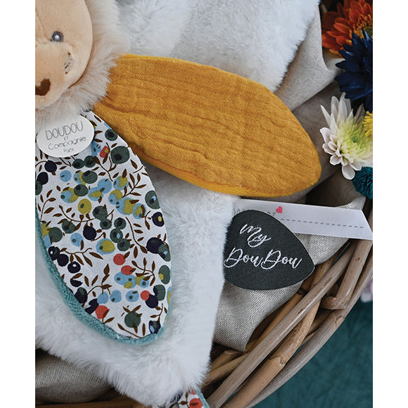 histoire-dours-lion-teether-hdo-dc4025