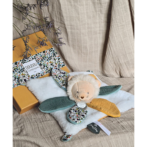 histoire-dours-lion-teether-hdo-dc4025