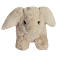 histoire-dours-rabbit-display-hdo-ho3000