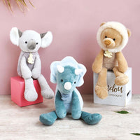 histoire-dours-sweety-chou-dino-hdo-ho2947