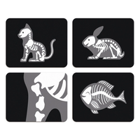 janod-veterinary-suitcase-jura-j06466