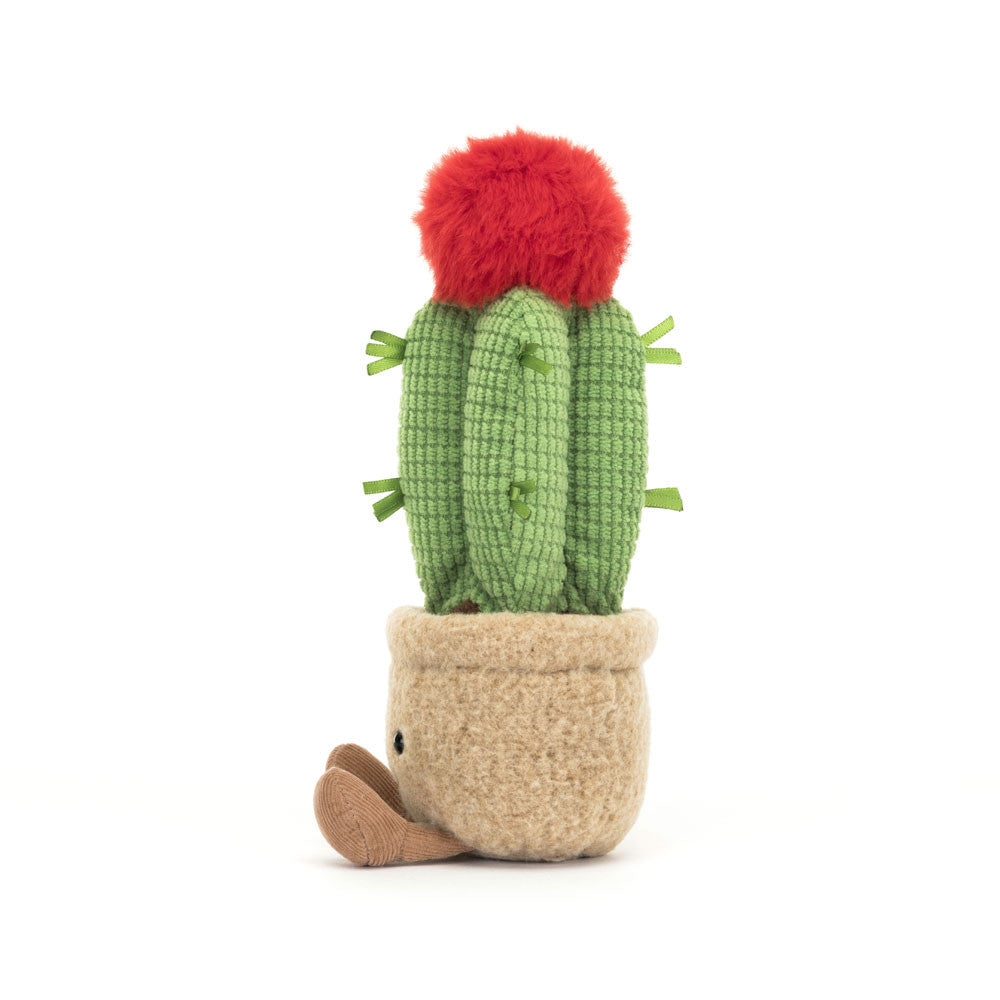jellycat-amuseable-moon-cactus-jell-a6mca
