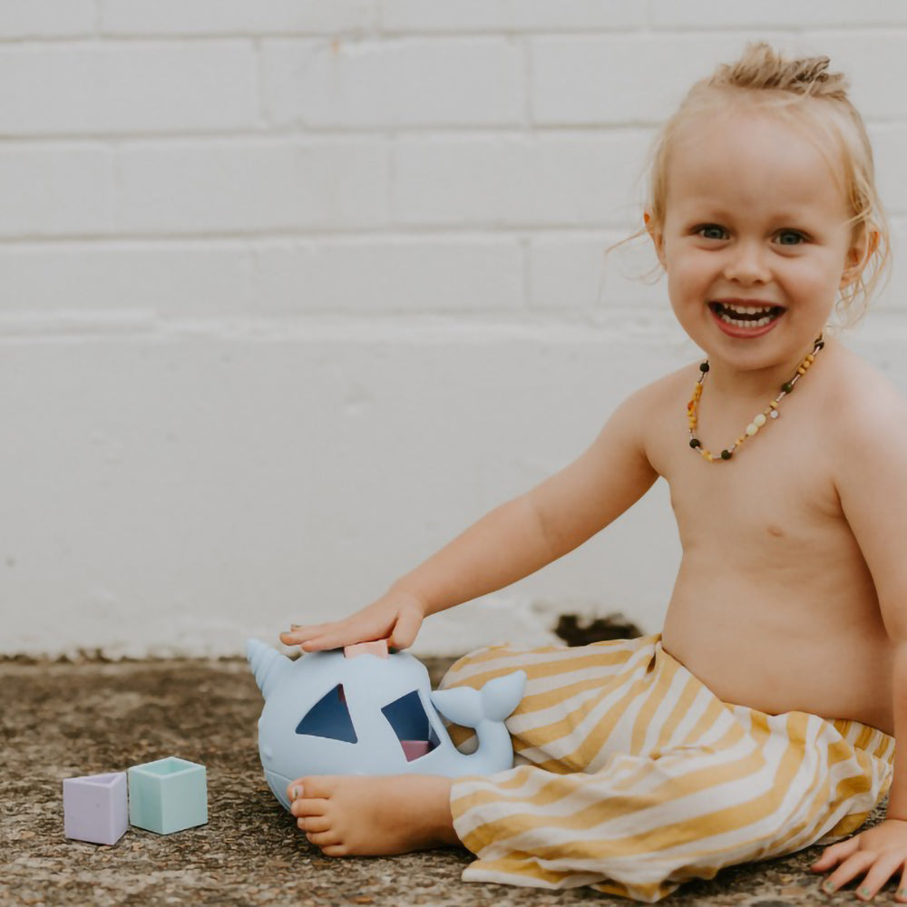 jellystone-designs-narwhal-shape-sorter-pastel