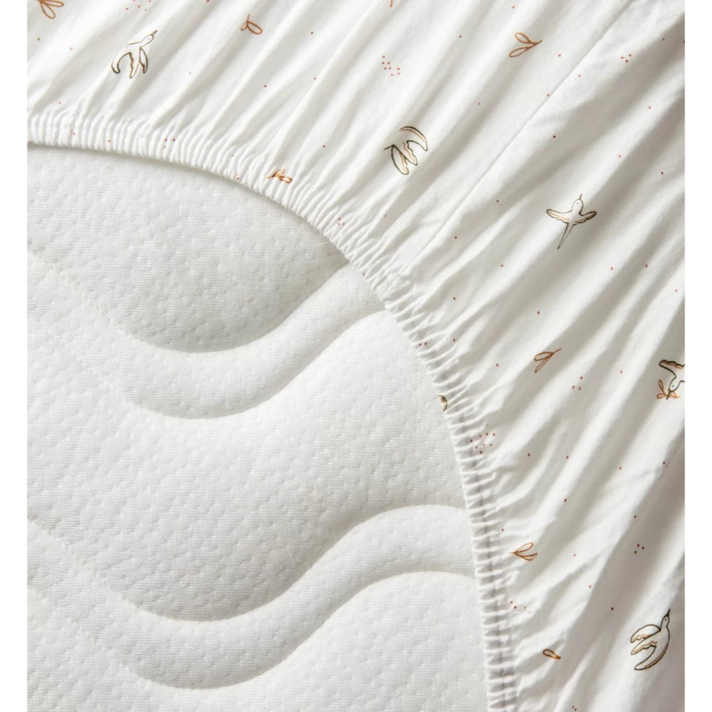 kadolis-organic-cotton-fitted-sheet-90x200cm-lenvolée-kado-dhco90200env