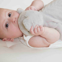 kaloo-weighted-koala-plush-kalo-k206003