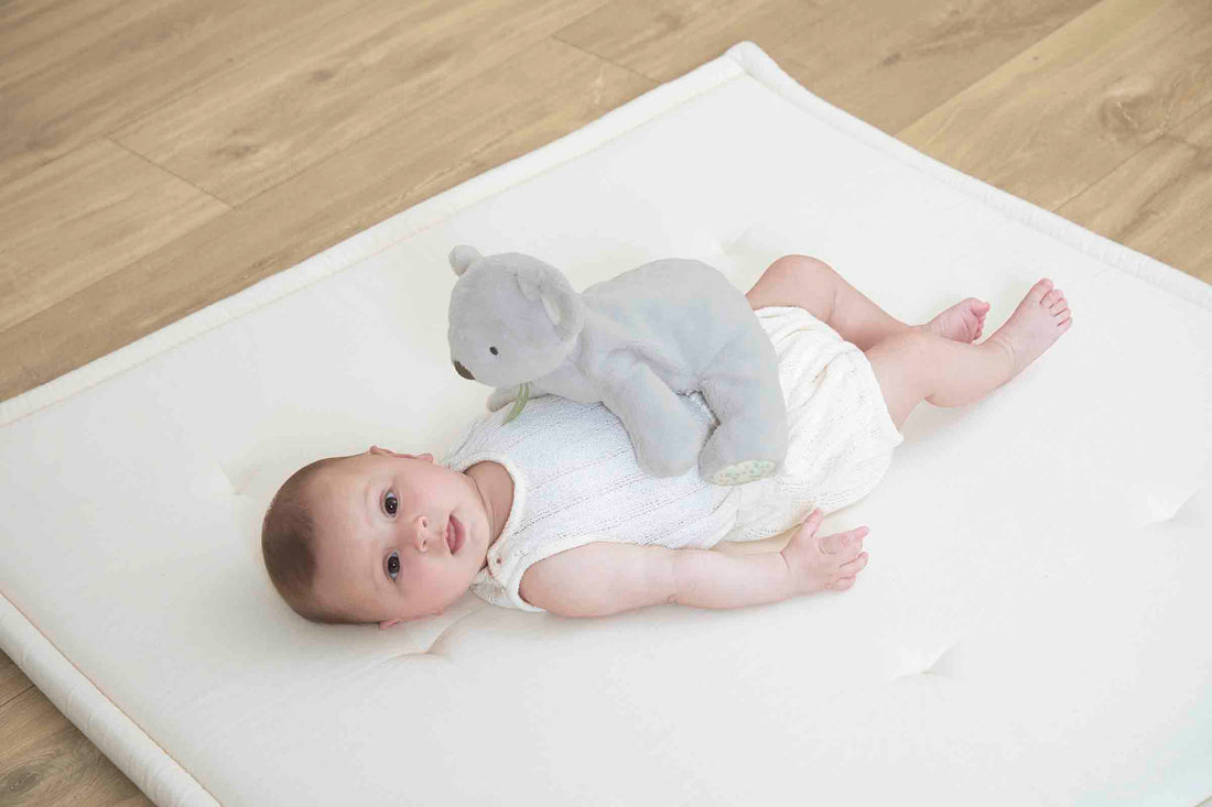 kaloo-weighted-koala-plush-kalo-k206003