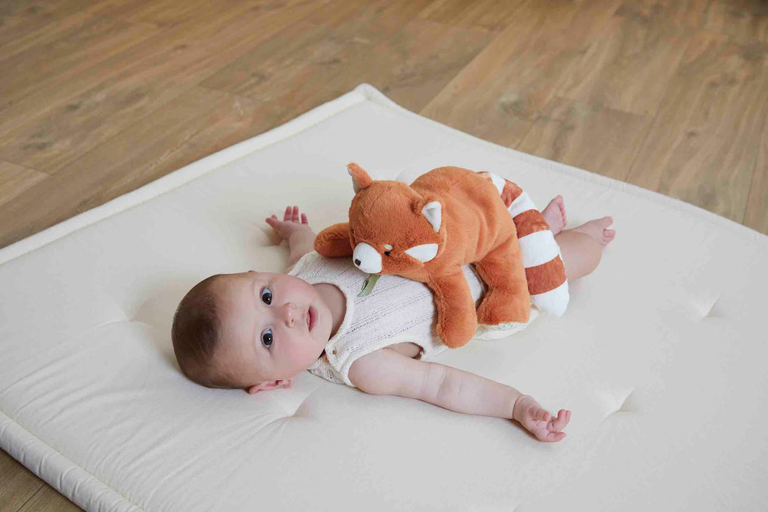 kaloo-weighted-red-panda-plush-kalo-k206002