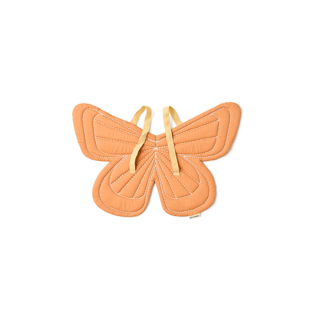 kids-concept-butterfly-green-dress-up