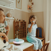 kidywolf-karaoke-speaker-with-2-microphones-kidw-kidykaraoke-gr