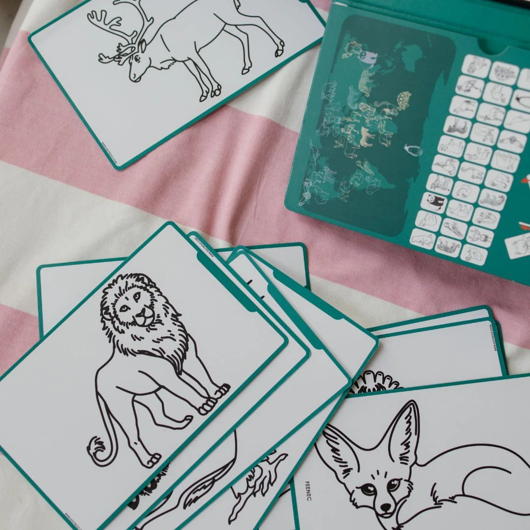 kidywolf-kidydraw-mini-drawing-pad-animals-around-the-world-kidw-kidydraw-mini-aaw