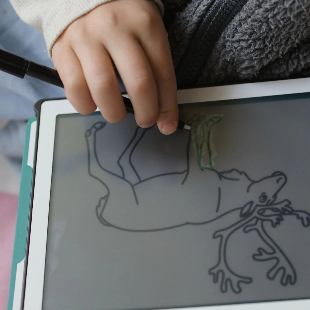 kidywolf-kidydraw-mini-drawing-pad-animals-around-the-world-kidw-kidydraw-mini-aaw