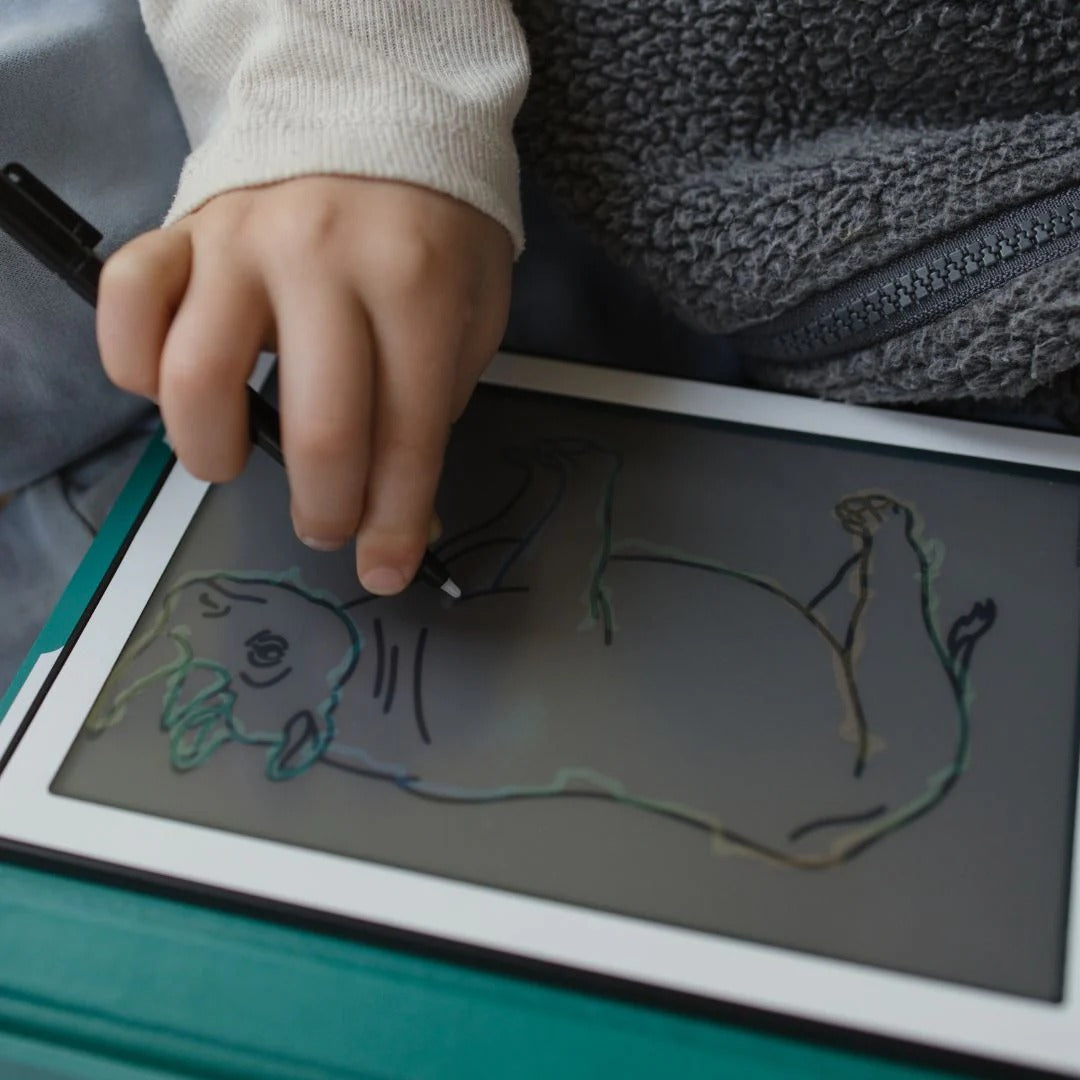 kidywolf-kidydraw-mini-drawing-pad-animals-around-the-world-kidw-kidydraw-mini-aaw