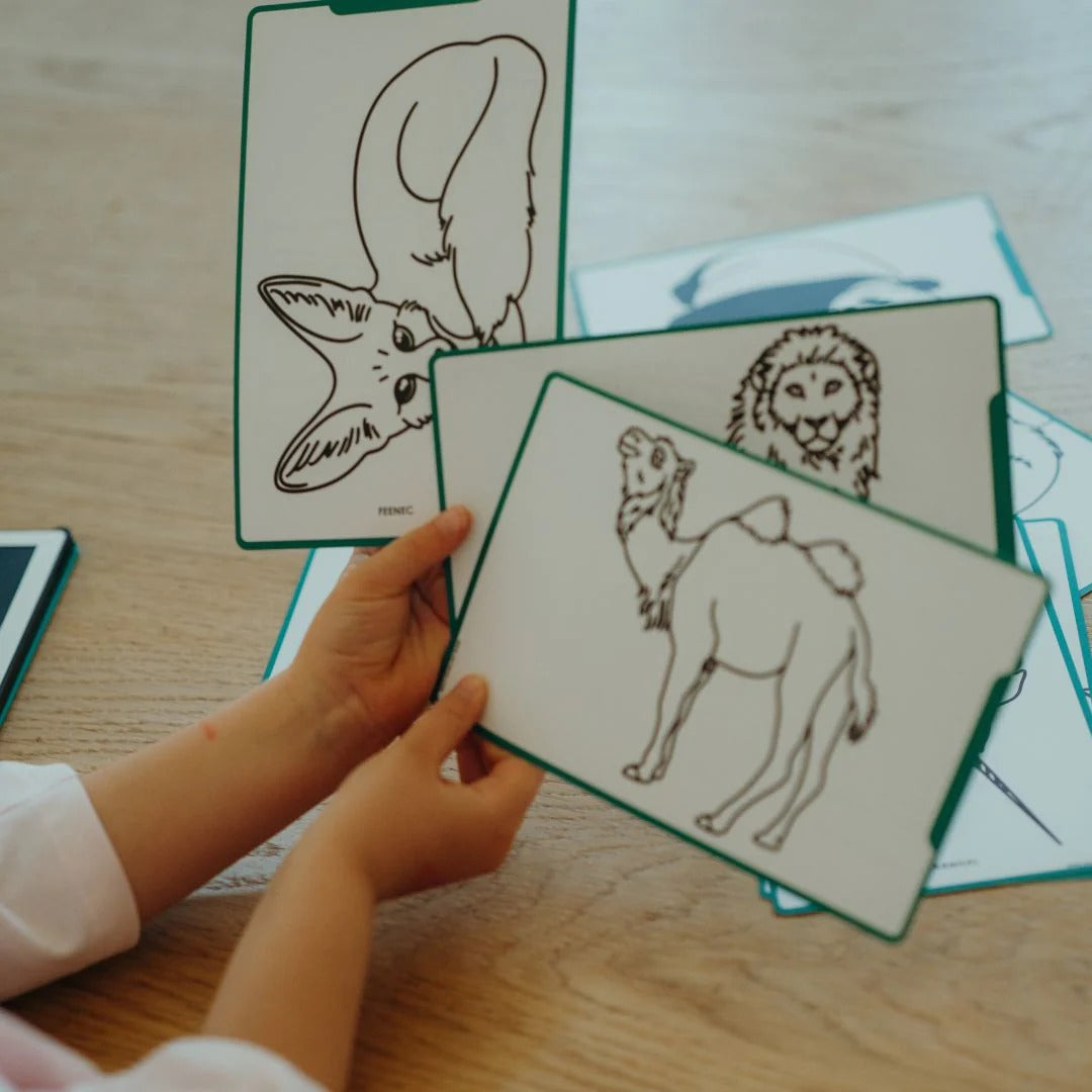 kidywolf-kidydraw-mini-drawing-pad-animals-around-the-world-kidw-kidydraw-mini-aaw