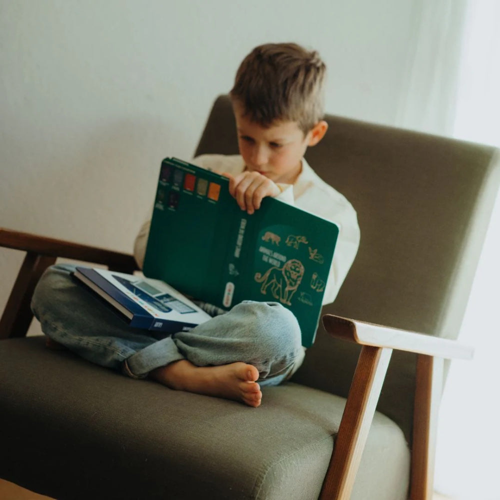 kidywolf-refil-kidydraw-mini-drawings-animals-around-the-world-and-oceans-and-pirates-kidw-refil-draw-mini-aaw-opi