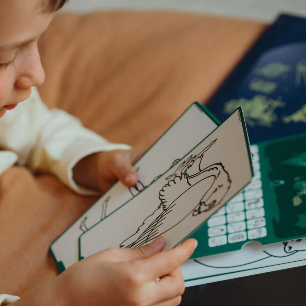 kidywolf-refil-kidydraw-mini-drawings-animals-around-the-world-and-oceans-and-pirates-kidw-refil-draw-mini-aaw-opi