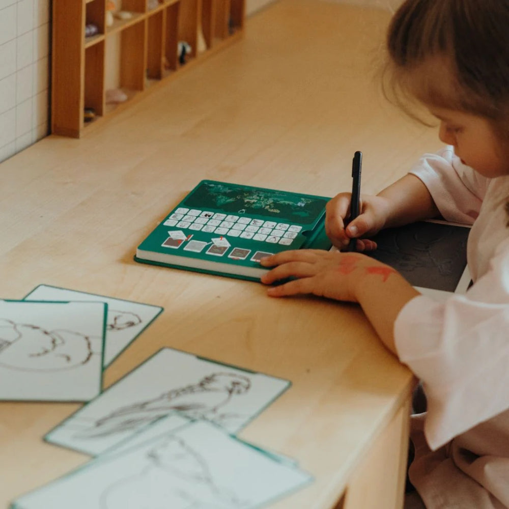 kidywolf-refil-kidydraw-mini-drawings-animals-around-the-world-and-oceans-and-pirates-kidw-refil-draw-mini-aaw-opi