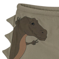 konges-sløjd-aster-swim-pants-dino-overland-trek-kong-s23ks4623-ot-12m